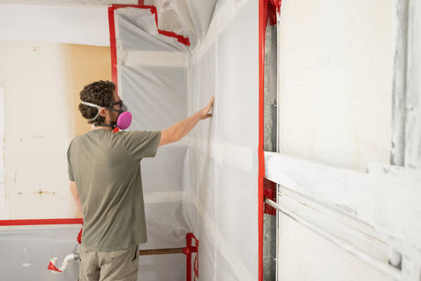 Best Water Damage & Mold Remediation  in Monroe, OH