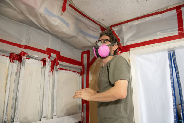 Mold Removal for HVAC Installations in Monroe, OH